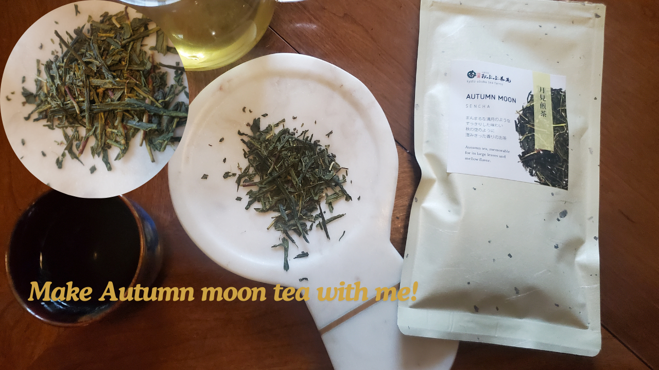 Autumn Moon Sencha Review: September Tea of the Month