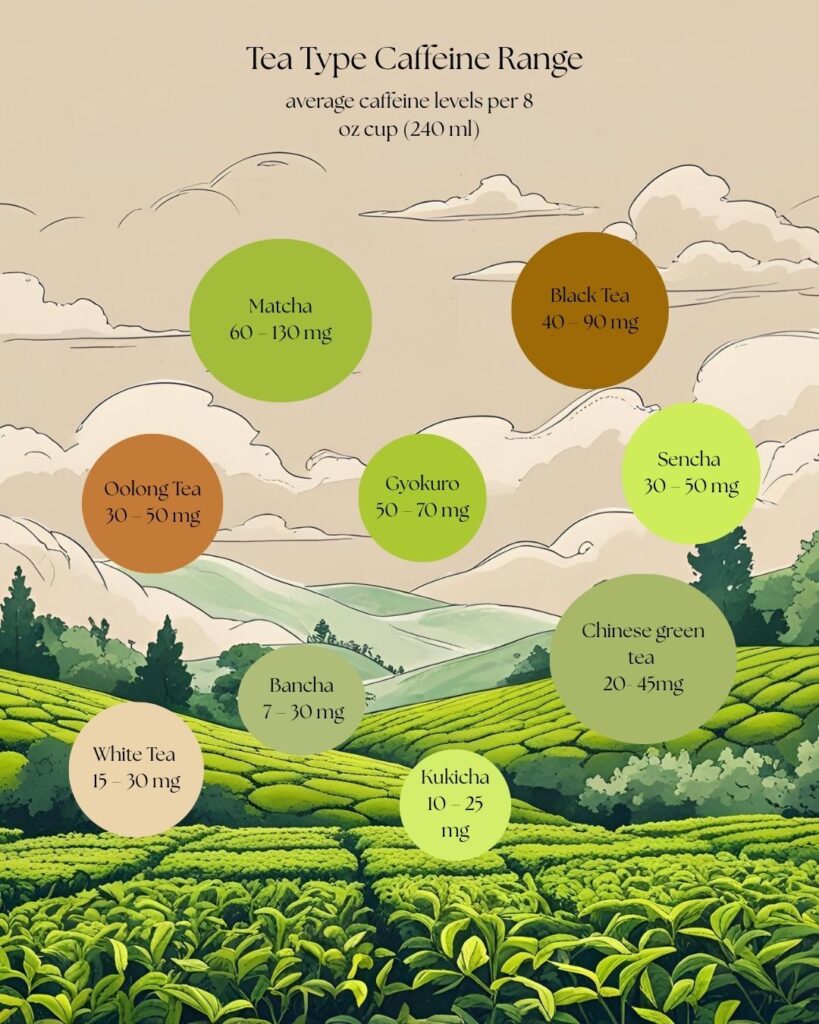 All you need to know about caffeine in Tea - Jordan's Tea Room